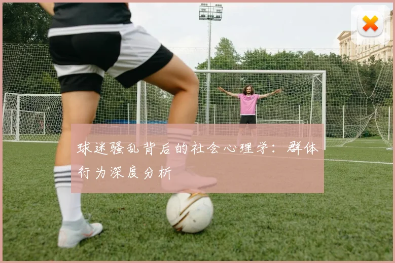 球迷骚乱背后的社会心理学:群体行为深度分析