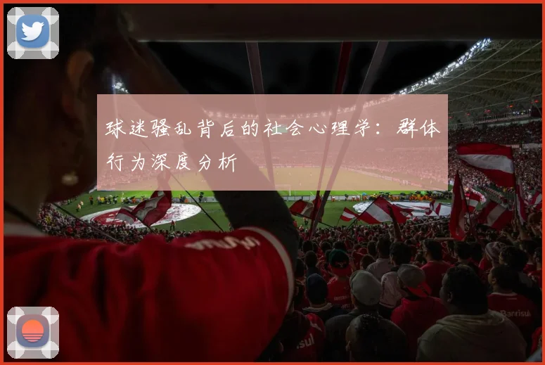球迷骚乱背后的社会心理学：群体行为深度分析