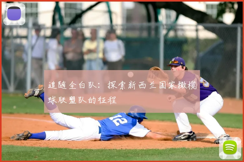 追随全白队：探索新西兰国家橄榄球联盟队的征程